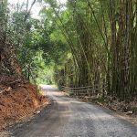 estrada-que-liga-os-distritos-de-santa-rita-de-cassia-a-amparo,-em-barra-mansa,-e-liberada-para-transporte-coletivo