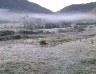 vegetacao-amanhece-coberta-por-geada-em-visconde-de-maua