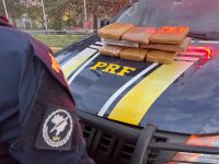 passageiro-de-onibus-e-preso-com-cerca-de-8-kg-de-maconha-na-via-dutra