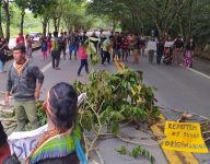 indigenas-protestam-contra-o-pl-490-e-bloqueiam-trecho-da-rio-santos,-em-paraty