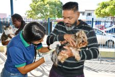 visconde-de-maua-faz-campanha-de-vacinacao-antirrabica-de-caes-e-gatos-neste-sabado