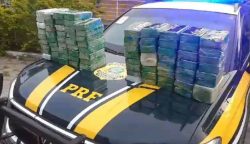 homem-e-preso-com-mais-de-80-tabletes-de-pasta-base-de-cocaina-dentro-do-carro-na-serra-das-araras