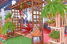 paty-do-alferes-promove-a-18a-expo-orquideas-e-bromelias