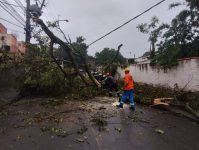 temporal-acompanhado-de-fortes-ventos-derruba-arvores-em-volta-redonda