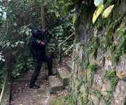 policia-militar-faz-operacao-contra-o-trafico-de-drogas-em-angra-dos-reis