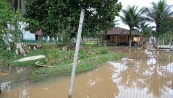 chuva-em-angra-dos-reis:-mais-de-400-pessoas-deixam-abrigo;-25-seguem-fora-de-casa