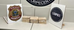 caes-farejadores-encontram-15-kg-de-cocaina-em-bagagem-de-passageiro-de-onibus-em-pirai