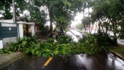 chuva-forte-alaga-ruas-e-derruba-arvores-em-resende-e-paraty