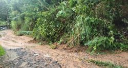 chuva-forte-causa-deslizamentos-de-terra-e-deixa-casas-alagadas-em-vassouras