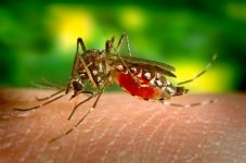 barra-do-pirai-confirma-segunda-morte-por-dengue-em-2024