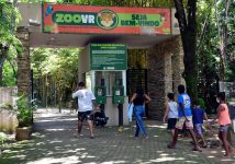 grupos-de-escoteiros-fazem-acao-de-preservacao-ao-meio-ambiente-no-zoologico-de-volta-redonda