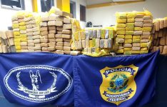 cerca-de-200-kg-de-maconha-sao-apreendidos-em-porta-malas-de-carro-apos-perseguicao-em-itatiaia