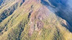 incendio-no-parque-nacional-do-itatiaia:-drones-com-cameras-termais-ajudam-a-encontrar-pontos-de-calor-por-baixo-da-copa-das-arvores