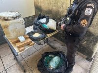 quase-6-kg-de-drogas-sao-encontrados-enterrados-em-area-de-mata-em-volta-redonda