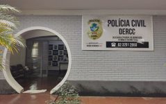 morador-de-goias-sofre-golpe-de-mais-de-r$-600-mil-apos-comprar-22-veiculos-em-site-de-leilao-falso,-diz-policia