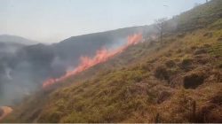 incendio-florestal-atinge-a-serra-dos-mascates,-em-valenca