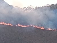 incendio-na-serra-dos-mascates-esta-controlado,-diz-inea