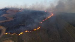 paraiba-do-sul-sofre-com-incendio-em-area-de-vegetacao-ha-tres-dias