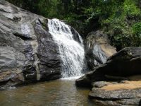 parques-estaduais-do-rj reabrem-para-visitacao-apos-incendios