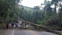 arvore-cai-e-bloqueia-rio-santos,-em-angra-dos-reis