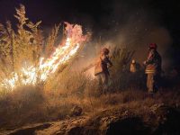 fogareiro-utilizado-por-cadetes-da-aman-causou-incendio-que-destruiu-mais-de-300-hectares-do-parque-nacional-do-itatiaia,-diz-icmbio