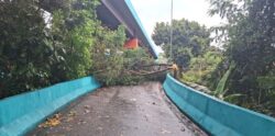 chuva-causa-transtornos-em-volta-redonda