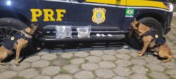 prf-prende-homem-transportando-drogas-e-cigarros-eletronicos-dentro-de-onibus-em-pirai